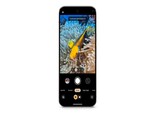 Audio Magic Eraser, underwater images and more: Google rolls out new features for Pixel phones